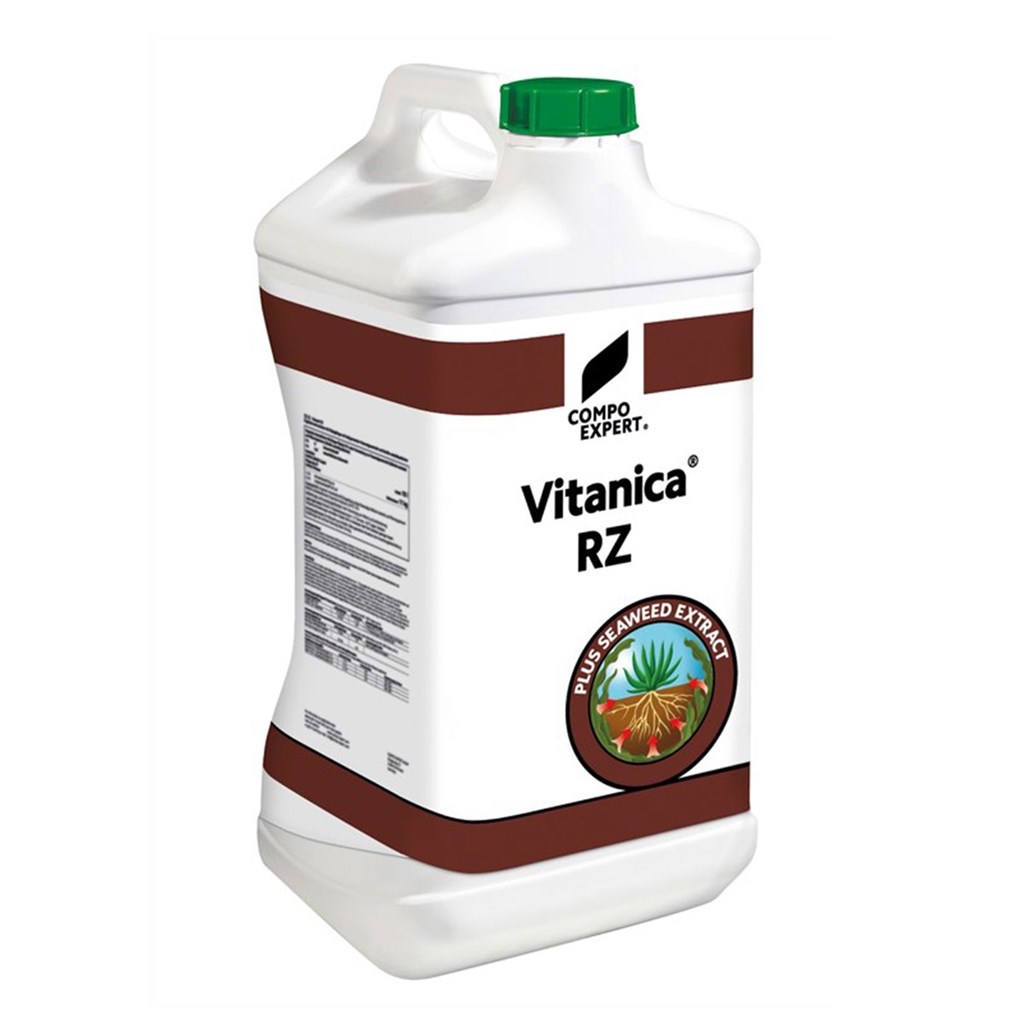 VITANICA RZ COMPO EXPERT - LT 1